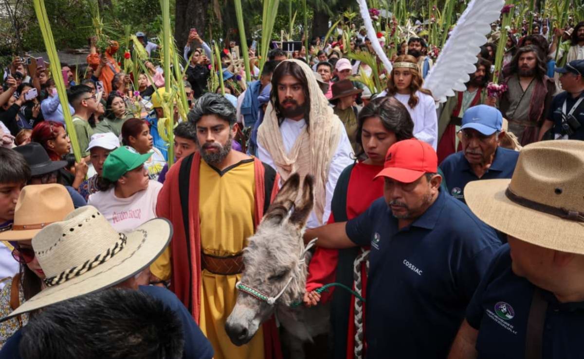 amparos-buscan-proteccion-para-caballos-y-burros-usados-en-el-viacrucis-de-iztapalapa