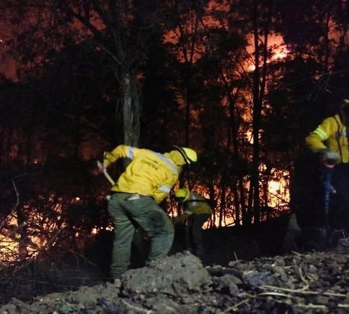CDMX moviliza alrededor de 4,000 combatientes y fija meta de reducir 10% la afectación por incendios en 2026