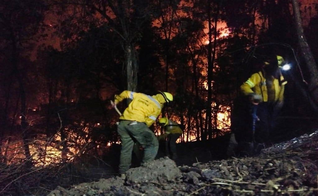 cdmx-moviliza-alrededor-de-4000-combatientes-y-fija-meta-de-reducir-10-la-afectacion-por-incendios-en-2026