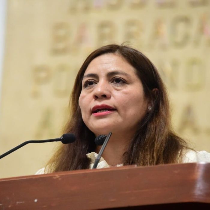 Diputadas del PVEM proponen que refugios de la CDMX reciban a mujeres violentadas con sus mascotas