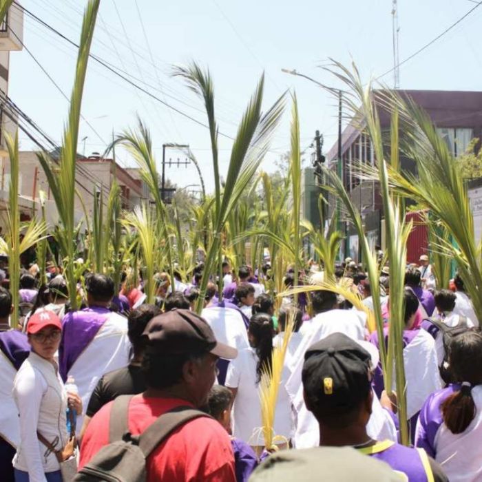 El Domingo de Ramos inaugura la Semana Santa 2026 con bendiciones y tradiciones en comunidades