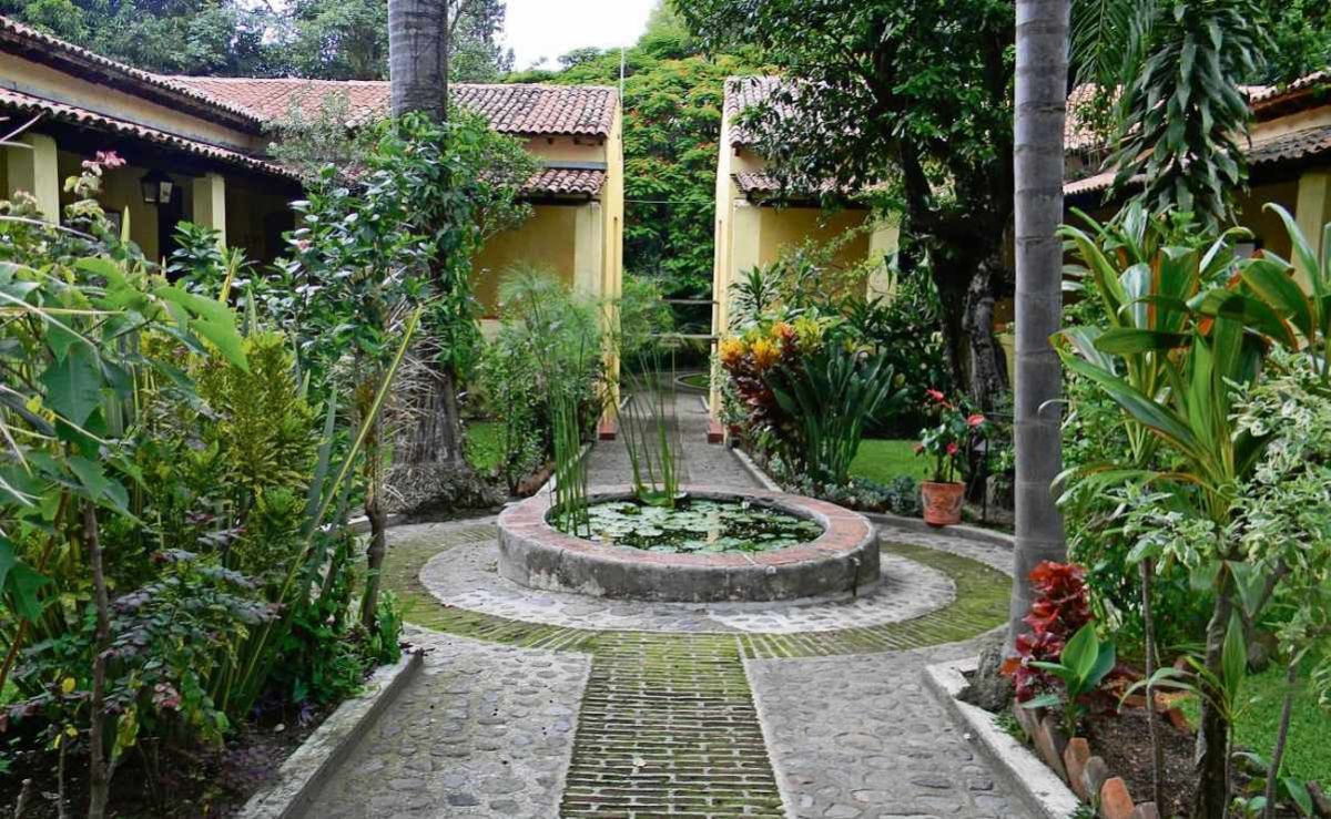 el-jardin-etnobotanico-del-inah-en-morelos-marca-cinco-decadas-como-refugio-de-plantas-y-saberes