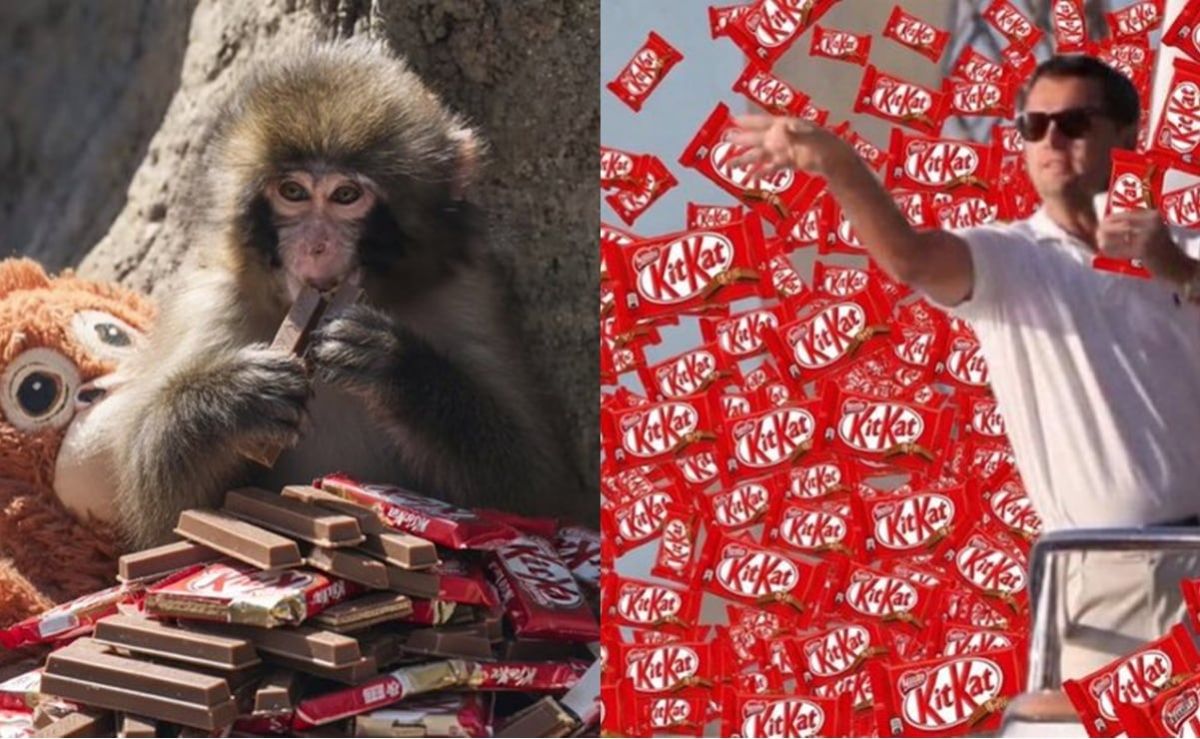 el-gran-atraco-de-kitkat-12-toneladas-de-barras-desaparecen-en-transito-por-europa