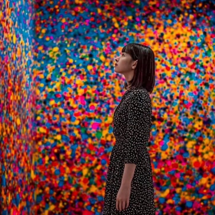 Imagine Museum en Polanco: una experiencia inmersiva entre luces y peluches