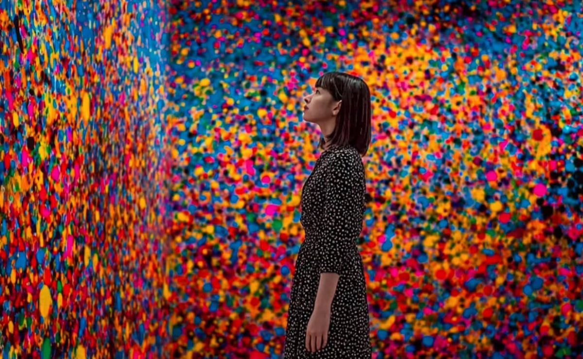 imagine-museum-en-polanco-una-experiencia-inmersiva-entre-luces-y-peluches