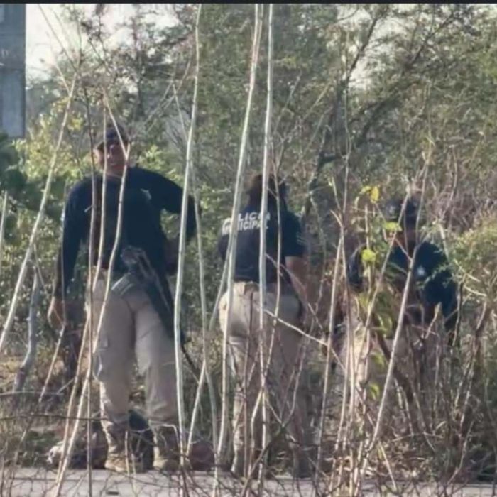 No se corrobora en fuentes públicas el hallazgo de un adolescente calcinado en Guiexhuba, Juchitán