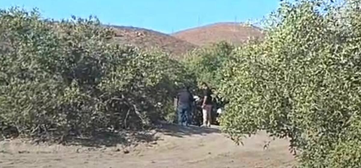 no-se-verifica-el-hallazgo-de-un-hombre-sin-vida-en-la-playa-erendira-la-paz
