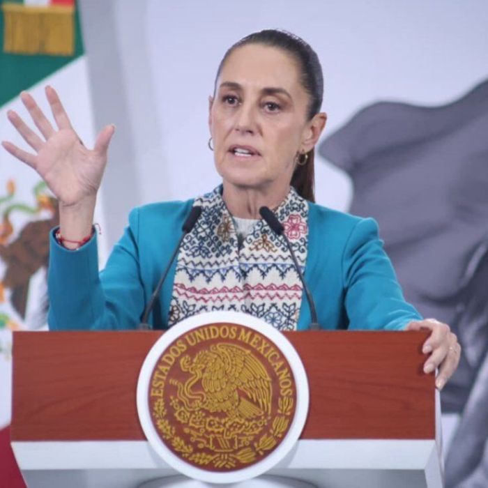 Sheinbaum plantea apertura gradual de la frontera para exportación de ganado tras avances contra el gusano barrenador