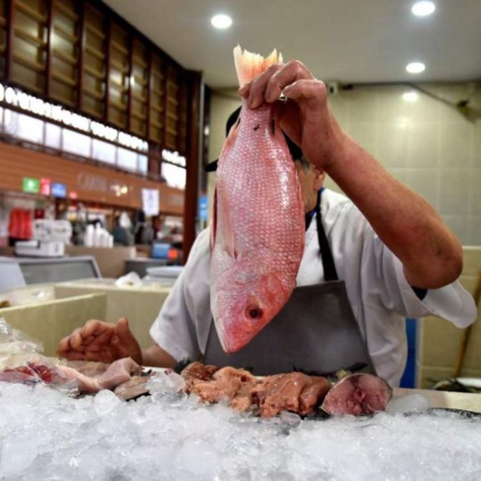 Benito Juárez invita a consumir mariscos en mercados públicos durante Semana Santa