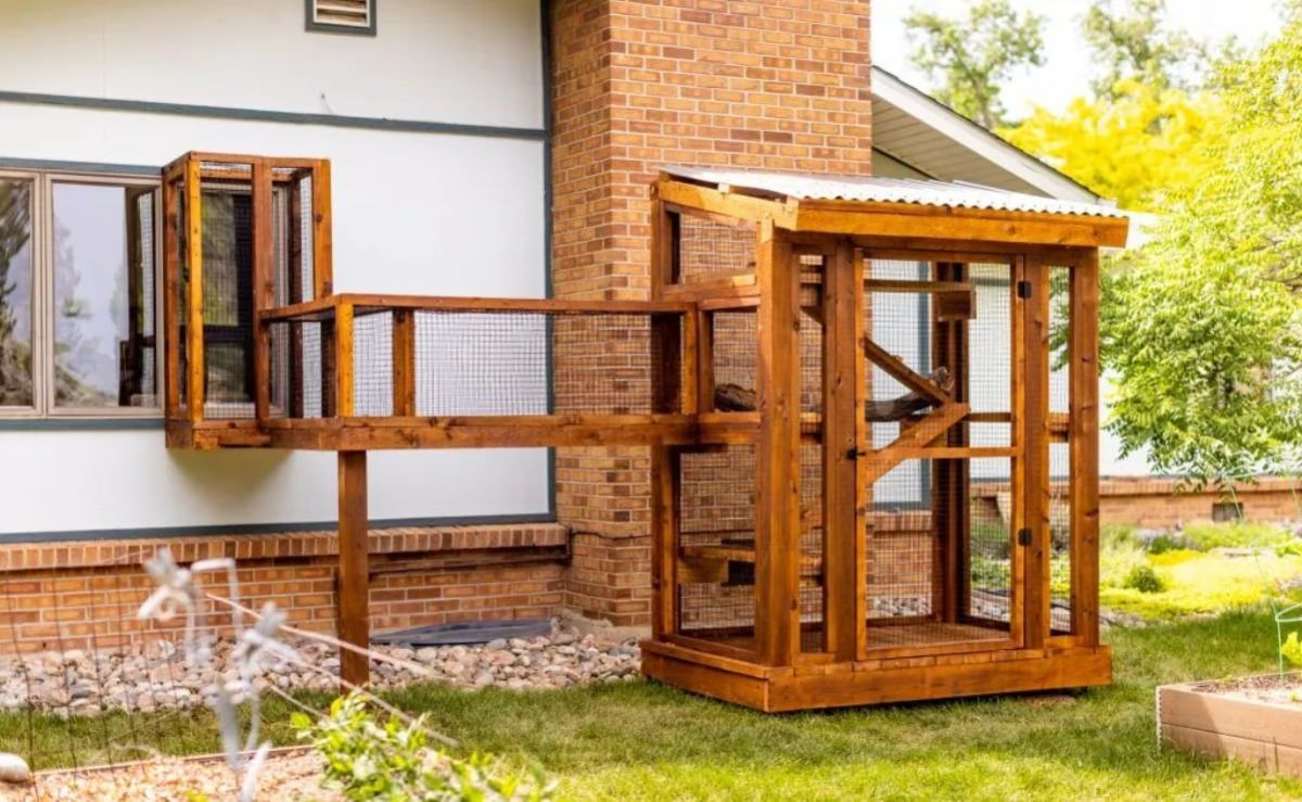 catio-que-es-como-se-disena-y-sus-beneficios-para-los-gatos