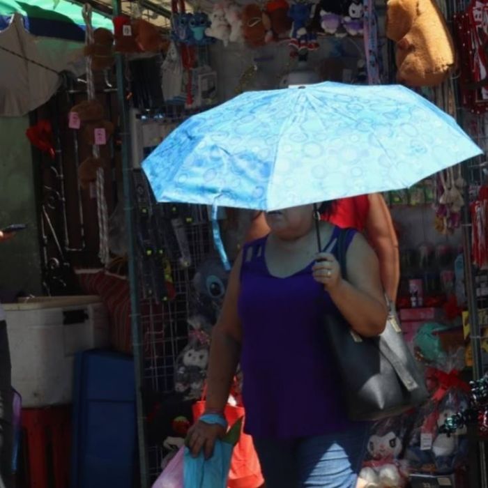 Clima en la Ciudad de México para el 2 de abril: templado y con cielo parcialmente nublado