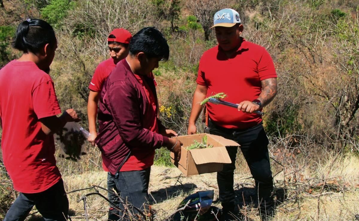 engrillados-de-atlixco-cadenas-espinas-y-una-penitencia-que-se-arrastra-por-decadas