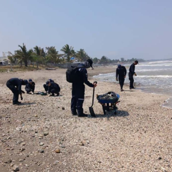 Gobierno reporta 889.4 toneladas recolectadas tras derrame en el Golfo de México