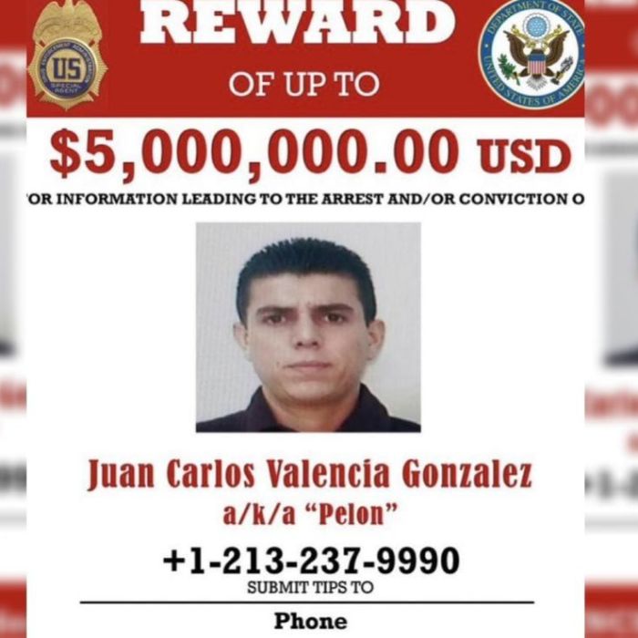 Los Viagras anuncian alianza con el CJNG y desatan violencia en Buenavista, Michoacán