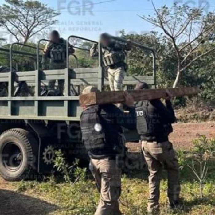 No hay confirmación pública del decomiso de 34 tablones en la Reserva de la Biósfera San Andrés Tuxtla