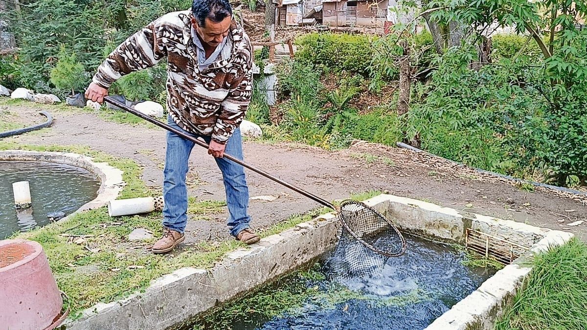 no-hay-fuentes-web-publicas-verificables-usar-el-material-que-nos-diste-para-escribir-el-reportaje