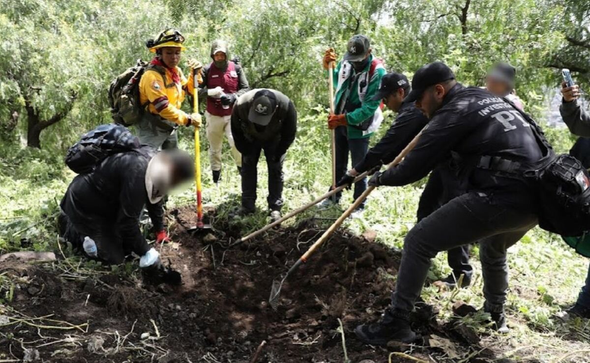 no-se-verifica-publicamente-el-hallazgo-de-13-restos-en-jornadas-de-busqueda-en-la-cdmx