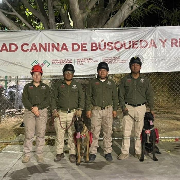 Reanudan búsqueda de niña indígena de 9 años extraviada en Tila, Chiapas