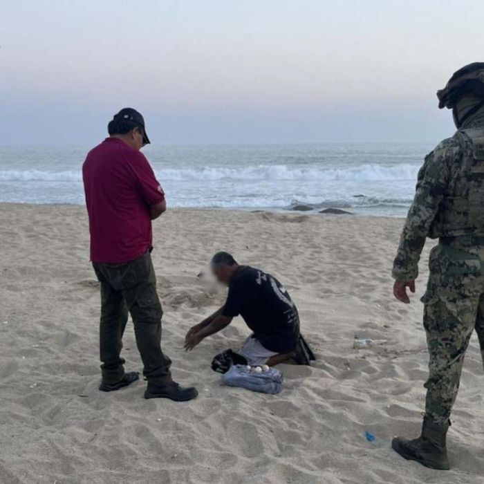 Semar y Profepa aseguran huevos de tortuga golfina en Playa La Escobilla durante la temporada 2025–2026