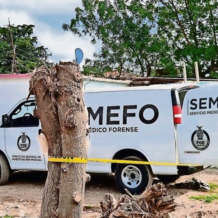 Senadora del PRI advierte que la guerra entre facciones del cártel de Sinaloa golpea la actividad económica