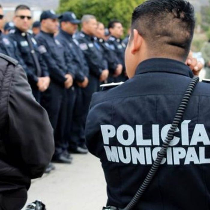 Senadora del PVEM presenta iniciativa para garantizar seguridad social y mejores condiciones laborales a policías tras 348 asesinatos en 2025