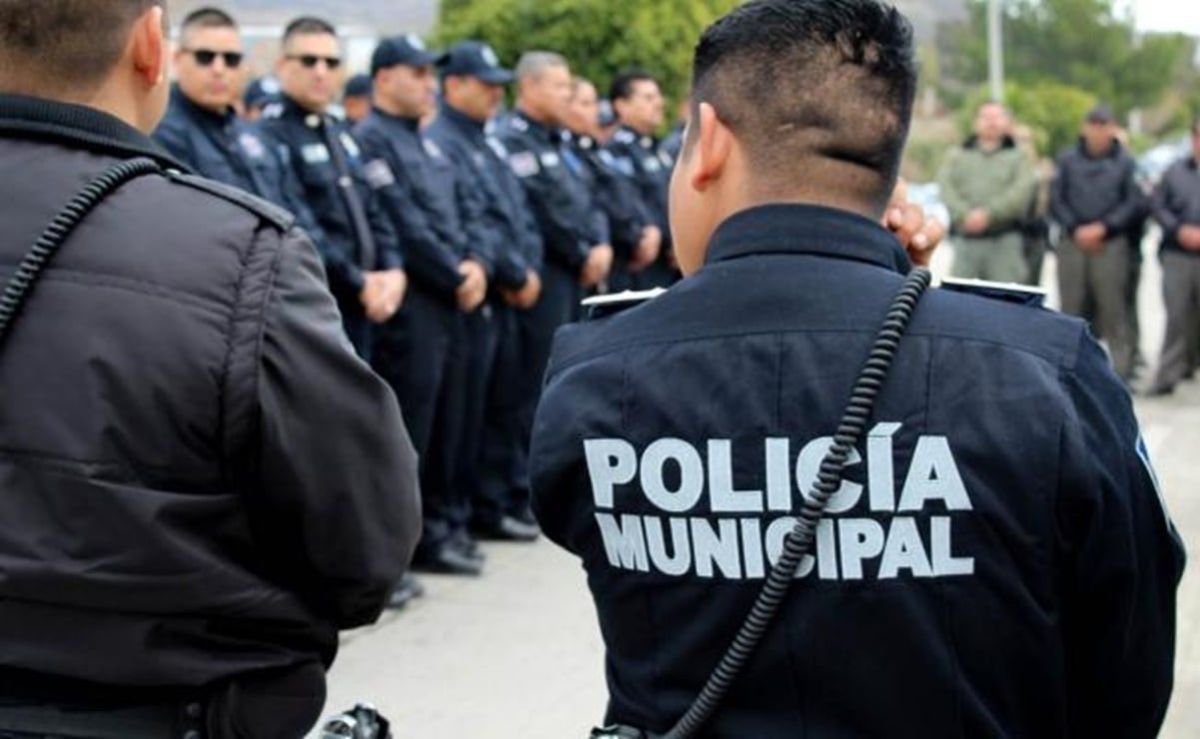senadora-del-pvem-presenta-iniciativa-para-garantizar-seguridad-social-y-mejores-condiciones-laborales-a-policias-tras-348-asesinatos-en-2025
