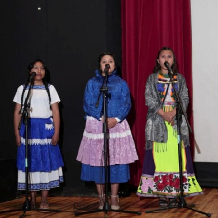 Senasica y UACh lanzan campaña en 11 lenguas indígenas para combatir el gusano barrenador