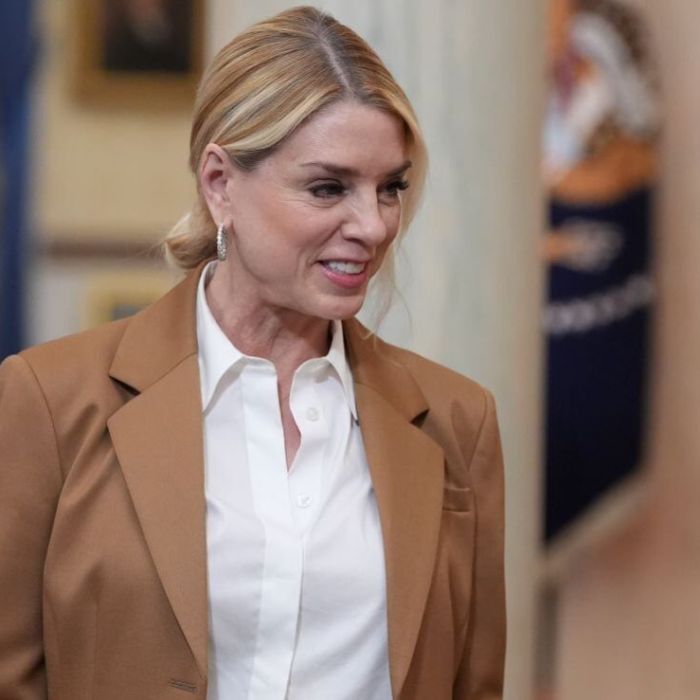 Trump habría discutido destituir a la fiscal general Pam Bondi; se mencionan a Lee Zeldin y Todd Blanche