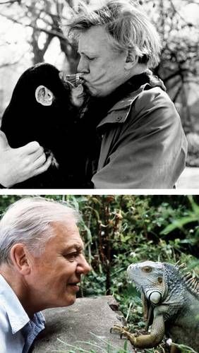 David Attenborough cumple 100 años el 8 de mayo de 2026