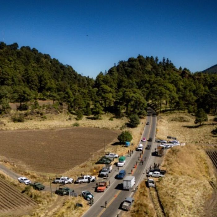 Denuncian tala ilegal en zona limítrofe entre Atizapán y Jilotzingo