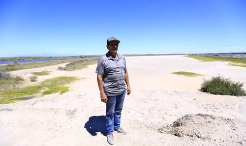 Granja de camarón en Eldorado, Sinaloa, detiene producción ante la crisis del sector