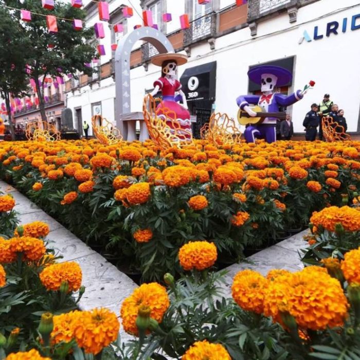 5 planes para disfrutar el fin de semana cerca de CDMX