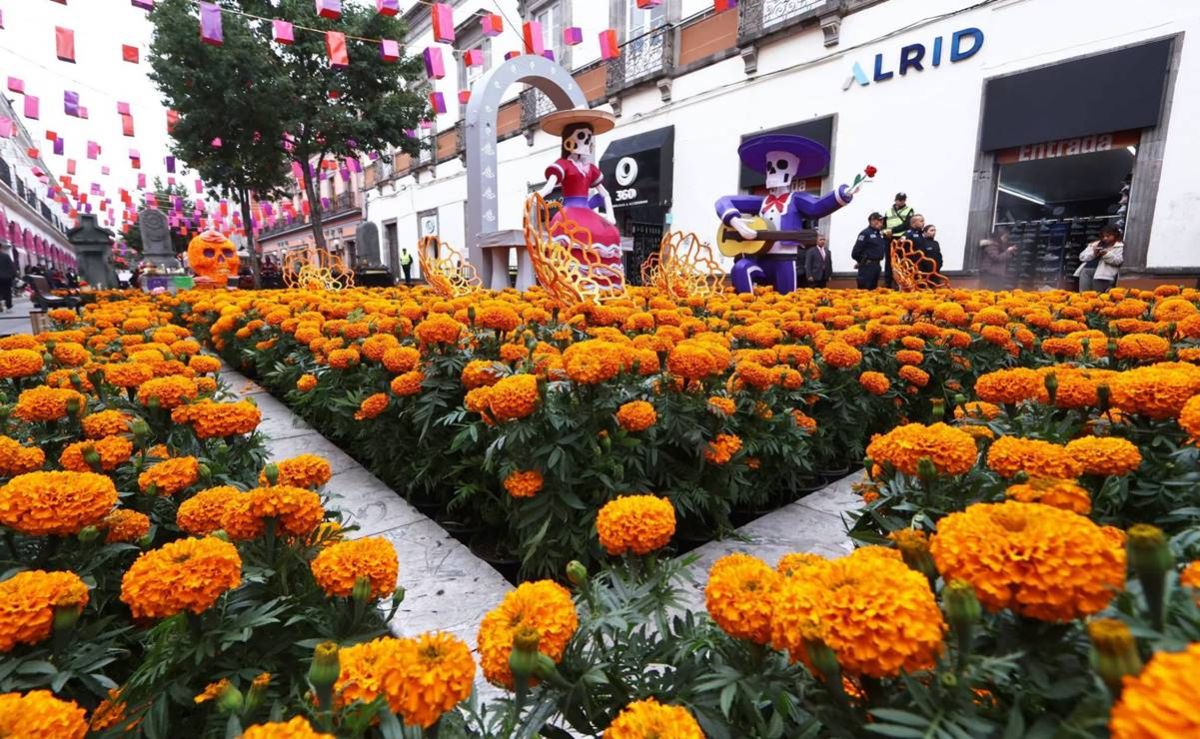 5-planes-para-disfrutar-el-fin-de-semana-cerca-de-cdmx-2