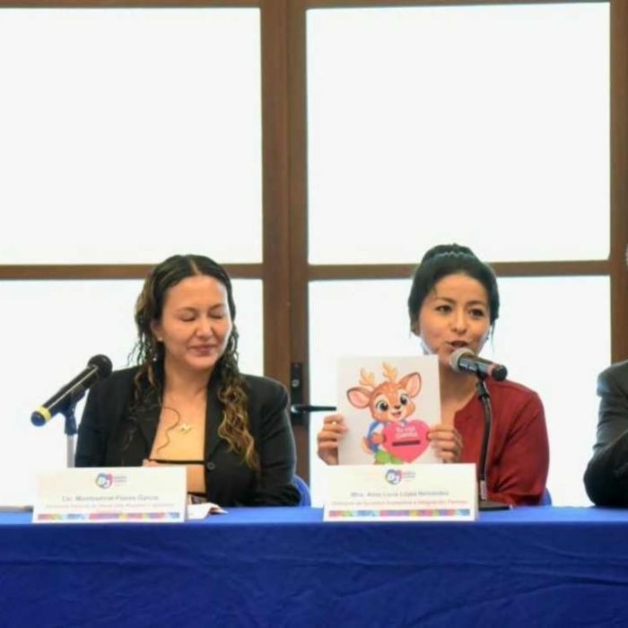 Benito Juárez instala sistema de protección para niñas, niños y adolescentes