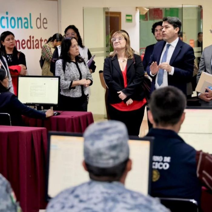 CIDH y Segob acuerdan ruta de seguimiento para fortalecer la búsqueda de personas desaparecidas