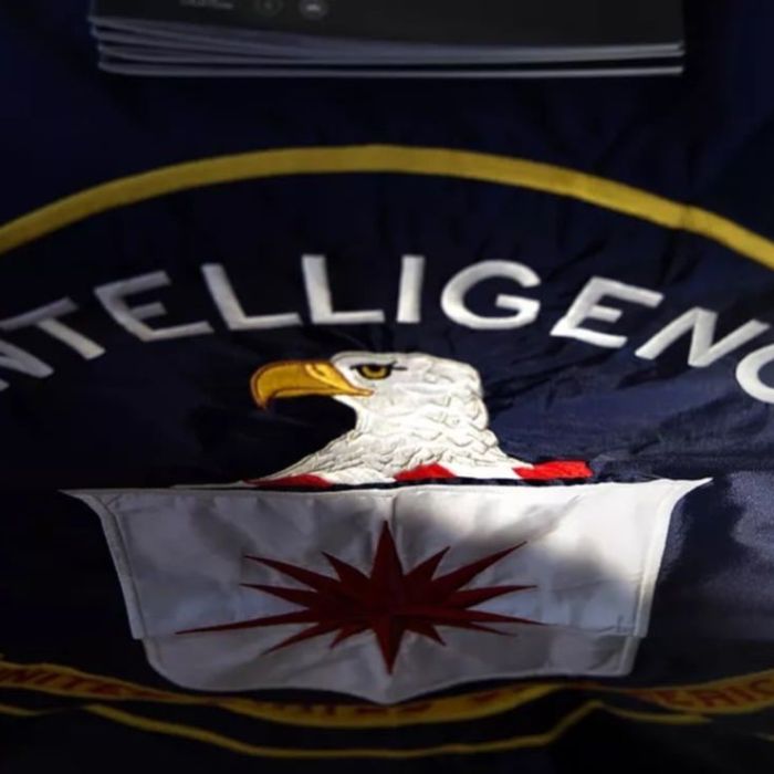 Exfuncionario de la CIA se declara culpable de desviar 194 millones de dólares