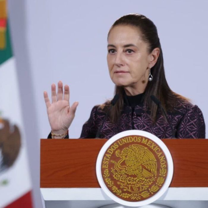 Jasmine Bugarín inició trámites para renunciar a la nacionalidad estadounidense, informa Sheinbaum