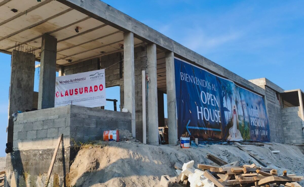 profepa-clausura-proyecto-inmobiliario-de-215-lotes-en-la-costa-de-alvarado