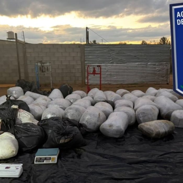 Aseguran 983 kilogramos de presunta marihuana en Hidalgo del Parral, Chihuahua