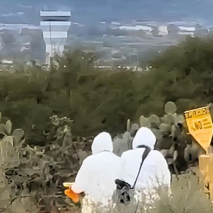 Dos trabajadores mueren y 20 resultan lesionados tras caída de camión en obras del Tren México-Querétaro