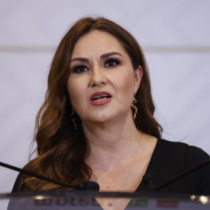 Geovanna Bañuelos afirma que Morena habría perdido 12 gubernaturas sin el PT