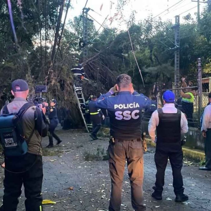 Lluvia, granizo y fuertes vientos dejan árboles caídos y daños en el sur de CDMX