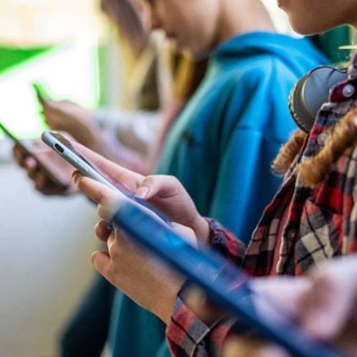 Publican en el DOF decreto para crear entornos digitales seguros para menores