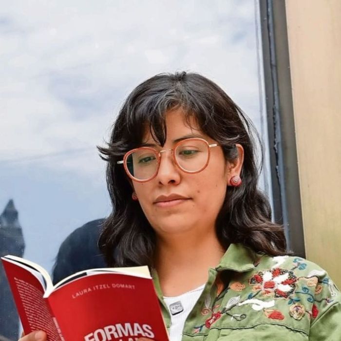 Una poética de la mirada en Formas del llanto, de Laura Itzel Domart
